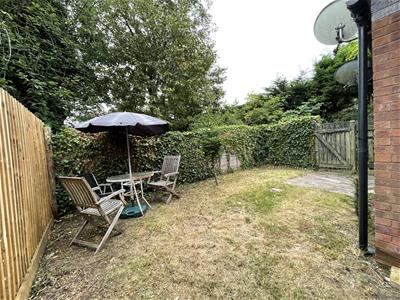 Picture 16